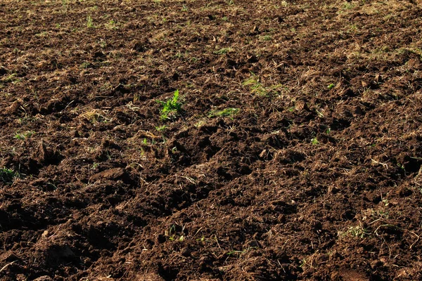 Plowed field use as background — Stock Photo, Image