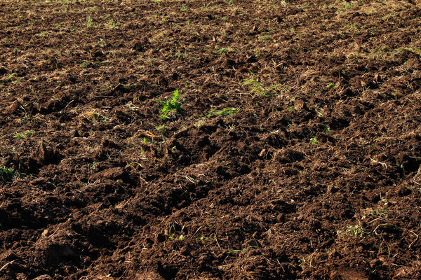Plowed field use as background