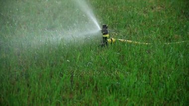 Otomatik sulama sistemi