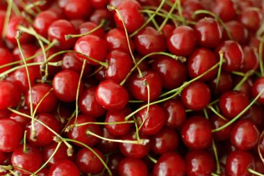 Arka plan olarak olgunlaşmış kiraz meyve üstten görünüm kullanmak