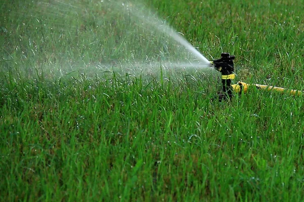 Sprinkler head irrigates the grass