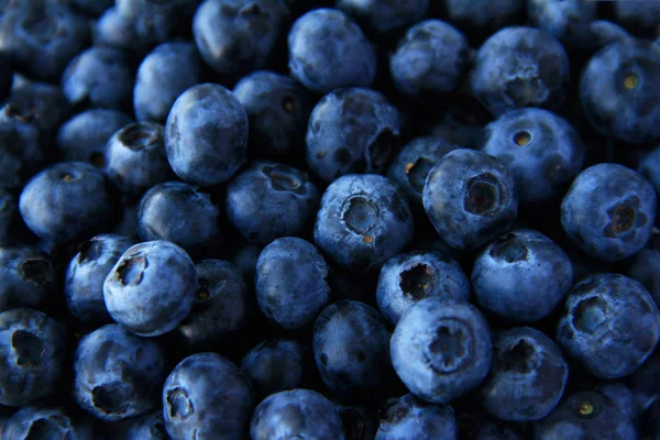 Blueberry fullformat användning för bakgrund — Stockfoto