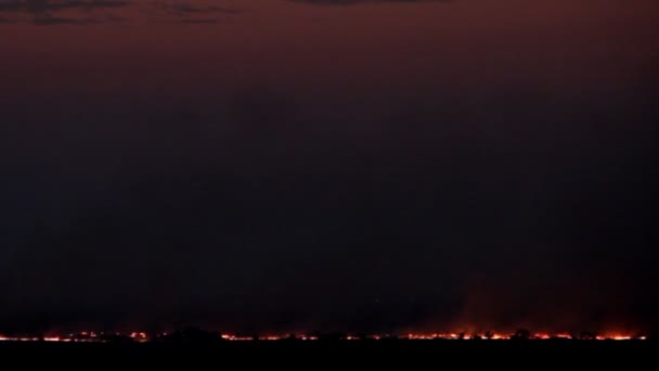 Este a tűz az erdő — Stock videók