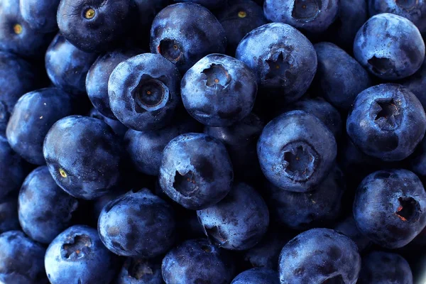 Blueberry fullformat bakgrund — Stockfoto