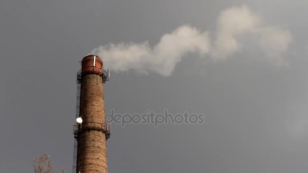 从工业烟囱烟气 — 图库视频影像
