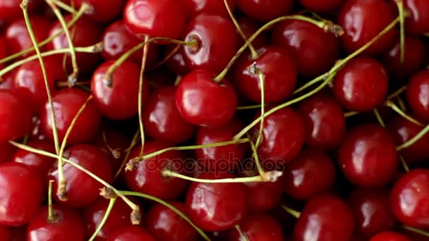 Ripe Cherry Fruits Full Frame Top View — Stock Video