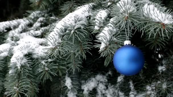 Bola Azul Navidad Colgando Rama Abeto Bajo Una Nevada — Vídeo de stock