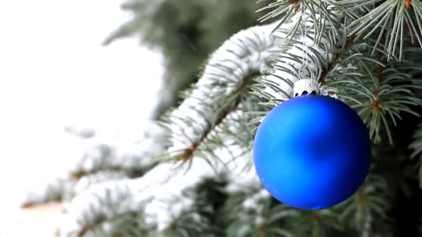 Blauwe Kerst Bal Opknoping Tak Van Spar — Stockvideo