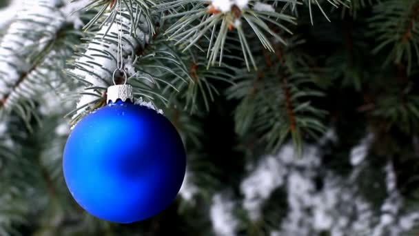 Blauwe Kerst Bal Blauwe Spar Tak Hangen — Stockvideo