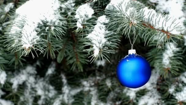 Blue Christmas Ball Hanging Blue Spruce Branch Snowy Weather Outdoor — Stock Video