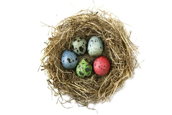 Multicolored Quail Eggs Nest Straw Easter — Stock Photo, Image