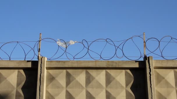 Concrete Fence Barbed Wire Close — Stock Video