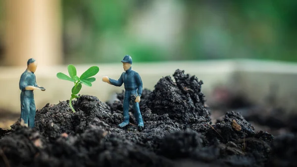Equipo Personas Miniatura Trabaja Para Inspeccionar Plantar Árboles Para Proyecto —  Fotos de Stock