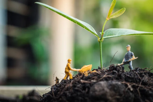 Miniatyr Människor Team Arbetar För Att Inspektera Och Plantera Träd — Stockfoto