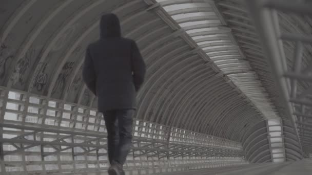 Hombre Atraviesa Túnel Caminando Por Túnel Log Sin Clasificar Vídeo — Vídeos de Stock