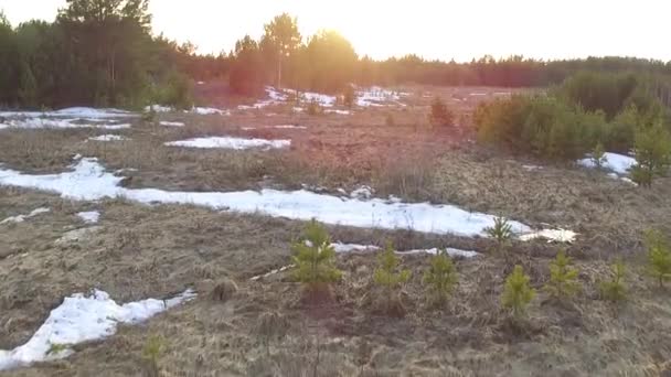 Luftaufnahmen Einer Grasbewachsenen Buschigen Moorlandschaft Luftfahrt Landschaft Die Untergehende Sonne — Stockvideo