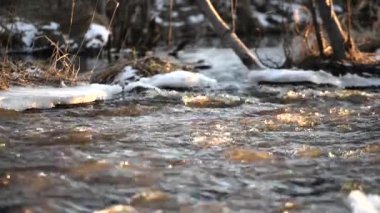 Bahar ormanı nehri güneşte parlar. Ormandaki nehirde eriyen buz, nehir kıyısında beyaz kar..
