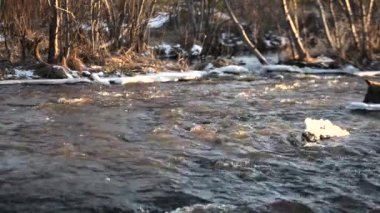 Bahar ormanı nehri güneşte parlar. Ormandaki nehirde eriyen buz, nehir kıyısında beyaz kar..