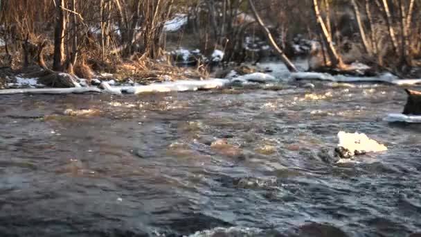 La rivière de la forêt printanière brille au soleil. La fonte de la glace sur la rivière dans la forêt, la neige blanche sur les rives de la rivière .