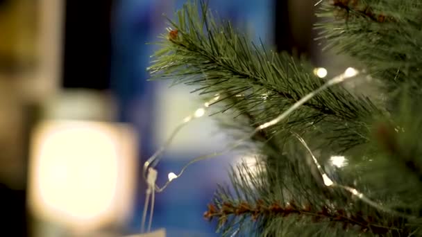 En gren av konstgjord gran med bakgrundsbelysning. Små gula lampor på konstgjord gran. Nyår och jul bakgrund. Lövträdgårdar. — Stockvideo