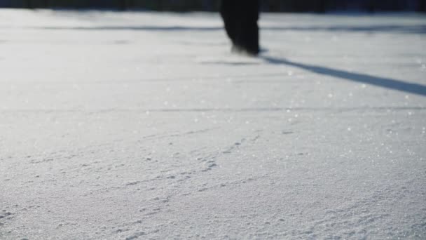 Kopanie Śniegu Człowiek Polu Zimowym Stopy Kopane Śnieg Przechowywane Powietrze — Wideo stockowe