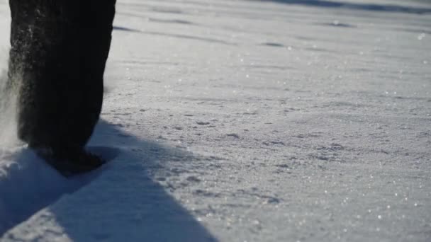 Κλωτσάω Χιόνι Άνθρωπος Στο Χειμερινό Χωράφι Πόδια Κλώτσησαν Χιόνι Κράτησαν — Αρχείο Βίντεο