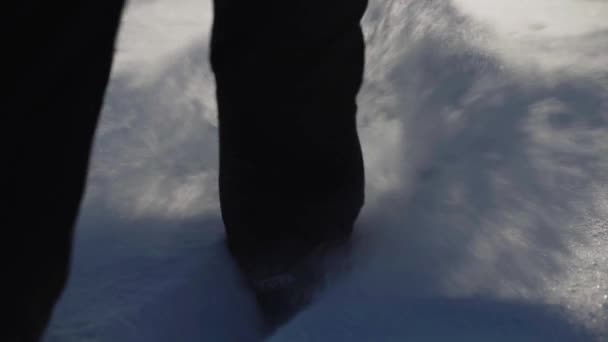 踢雪地 冬季田里的人 脚踢雪使空气在阳光和雾中闪烁着雪花和霜冻 — 图库视频影像