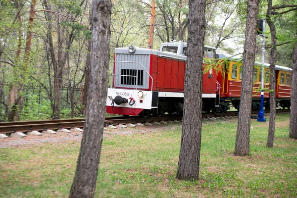 Chelyabinsk Region, Russia - April 2019. An old restored locomotive — 스톡 사진