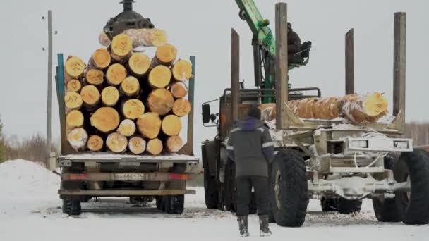 Ekaterimburgo Rusia Enero 2020 Transferir Troncos Camión Otro Camión — Vídeos de Stock