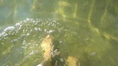 Walking in Shoal. Top view of barefoot man vacationer walking along the beach and sea waves washing his feet. Holidays at the seaside