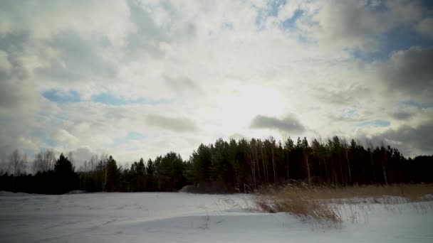 Zimní Studený Den Silný Poryv Větru Žene Mraky Oblohou Suchá — Stock video