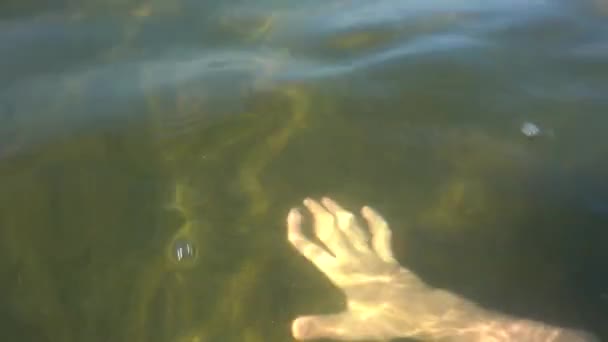 Réfraction Lumière Dans Eau Main Sous Eau — Video