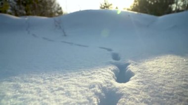 Dolly out. Someones footprints in the snow. Movement in a snowy meadow.