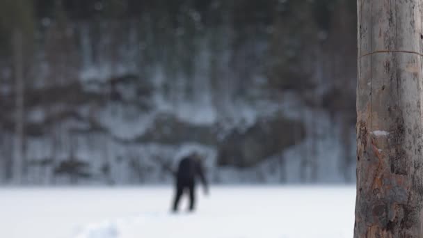 Un homme aplati et épuisé marche lentement le long d'un champ neigeux, tombe, se lève et retombe. Arbre sec au premier plan. Scène dramatique d'un mourant dans un champ neigeux — Video