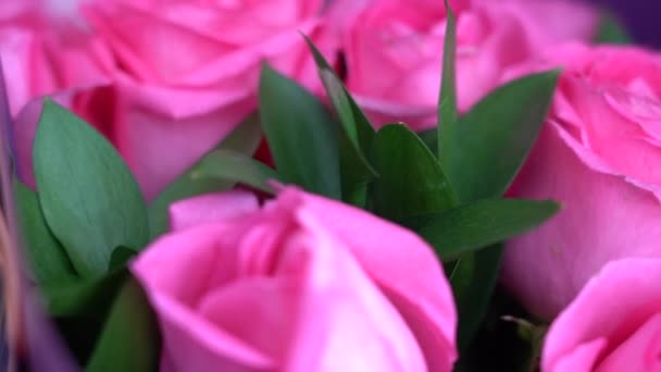 Pink Cream Roses Bouquet Camera Movement Rosebuds Macro Selective Focus — Stock Video