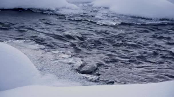 Água Fria Escura Flui Entre Neve Gelo Fluxo Uma Floresta — Vídeo de Stock