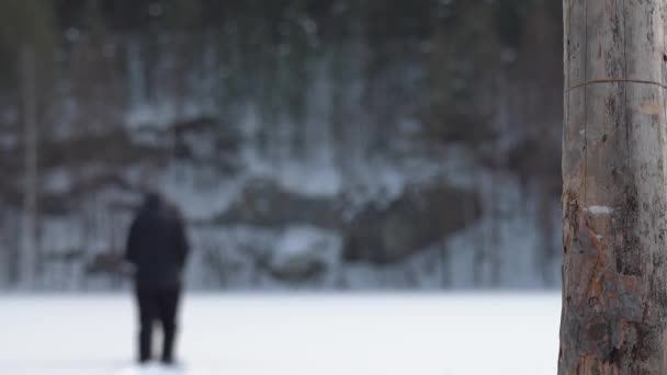 一个人在雪地里奄奄一息的戏剧化场面 一个憔悴疲倦的人慢慢地沿着雪地走着 又跌又跌 前景中的干枯树 — 图库视频影像