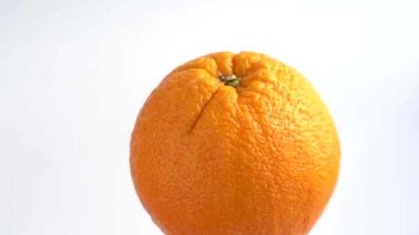 Orange sur fond blanc. Gros fruits mûrs . — Video