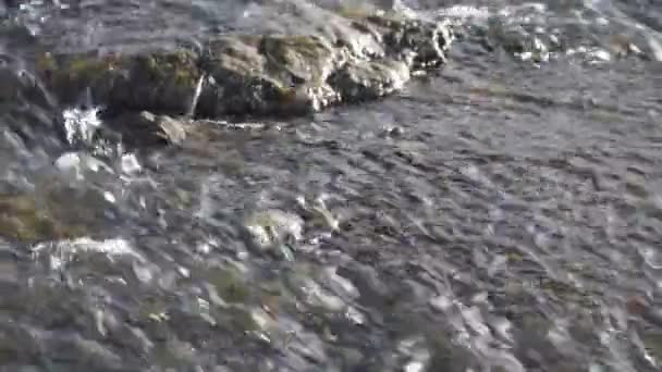 Η ταχεία ροή του ποταμού πάνω από τις πέτρες. Κοντινό πλάνο. Μικρός καταρράκτης πάνω από μια γρήγορη ροή νερού. — Αρχείο Βίντεο