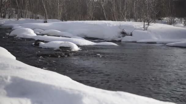 Une rivière rapide parmi les flots de neige blanche dans la forêt — Video