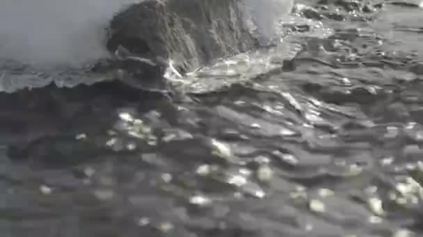 Fast Moving Water Passing Melting Ice Close Stream Snowy Forest — Stock Video