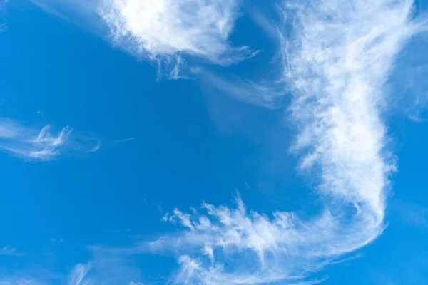 Cirrus is cloud stripe, white, feathery, ice crystal. Blue background of the sky