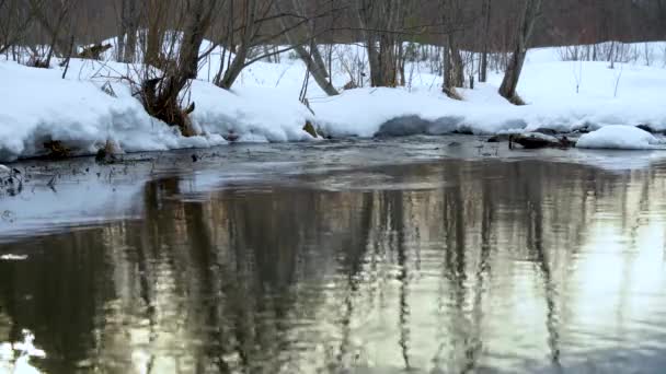 Odraz Večerního Slunce Řece Zasněžené Břehy Řeky Pohybující Voda Protékající — Stock video