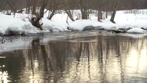 Reflektion Kvällssolen Floden Flodens Snöiga Stränder Flytande Vatten Passerar Genom — Stockvideo