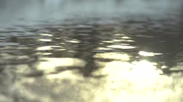 Φως Λάμπει Στο Νερό Κυματίζει Στο Νερό Ήλιος Στο Νερό — Αρχείο Βίντεο