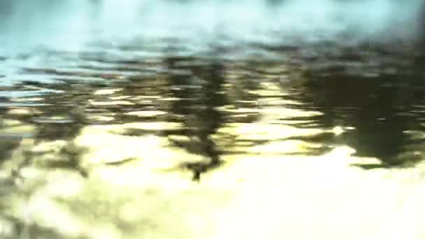 Brilho Claro Água Ondulações Água Sol Água — Vídeo de Stock