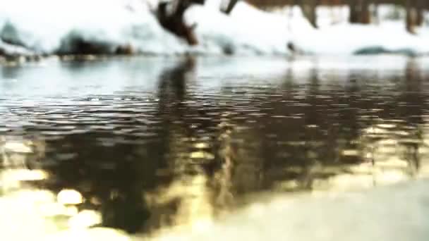 Reflektion Kvällssolen Floden Flodens Snöiga Stränder Flytande Vatten Passerar Genom — Stockvideo