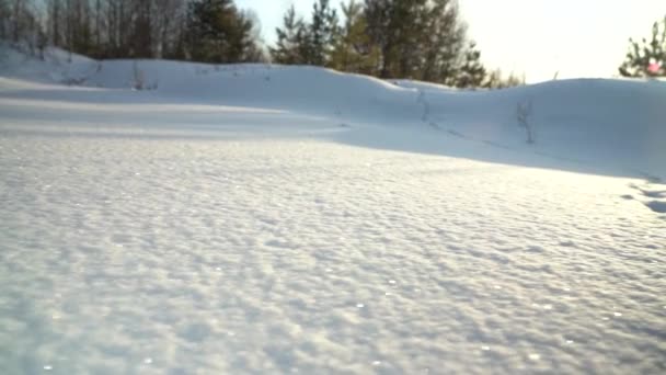 蓬松的雪白在阳光下闪闪发光 有人的脚印在雪地里在多雪的草地上活动 先见之明开枪了潘宁 弧形射击 — 图库视频影像