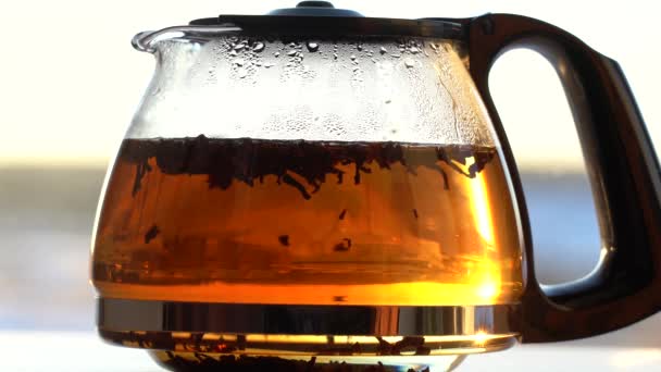 Teapot Tea Made Transparent Glass Rays Morning Sun Particles Black — Stock Video