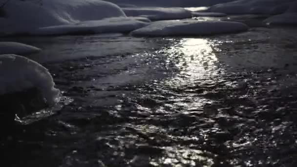 夜間撮影 高速移動水は 雪の海岸を通過する 月は黒い水に反射する — ストック動画